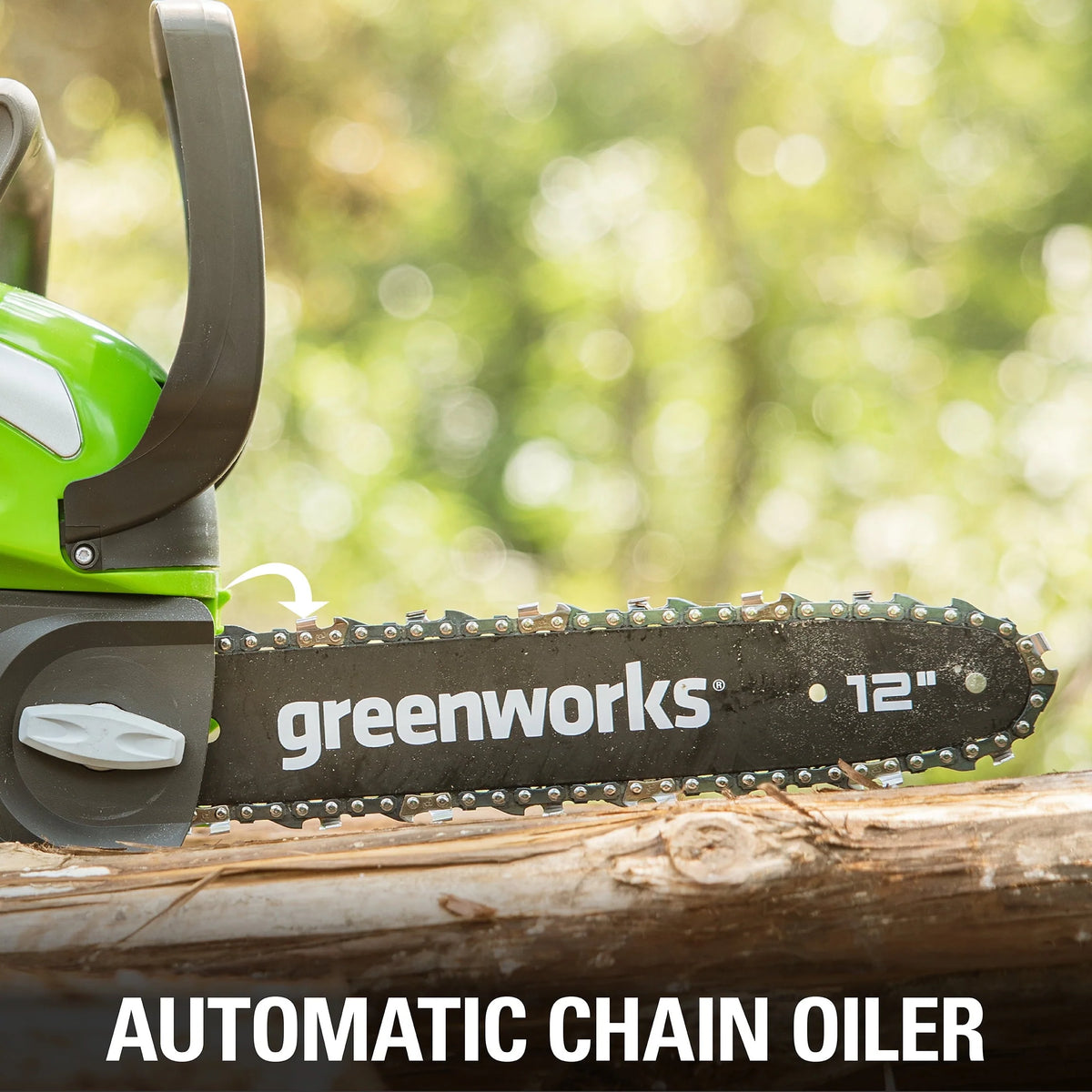 Greenworks 40V 12" Cordless Chainsaw with 2.0 Ah Battery & Charger, 20262